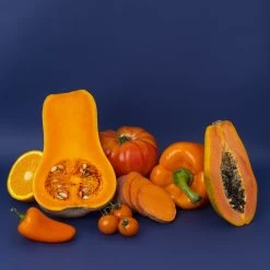 H.KOENIG - Robot De Cuisine Multifonction, 1000 W, 15 Programmes De Cu... -Magasin De Cuisine Électrique HK8 NM 1140x1140