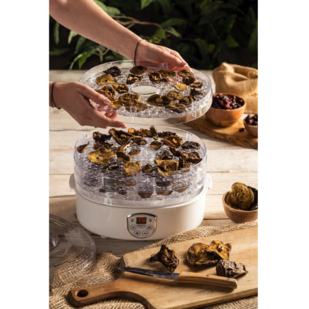 Déshydrateur De Champignons, D'herbes Et D'aliments Camry CR 6659 5 Déshydrateur De Champignons, D'herbes Et D'aliments Camry CR 6659 – Image 5